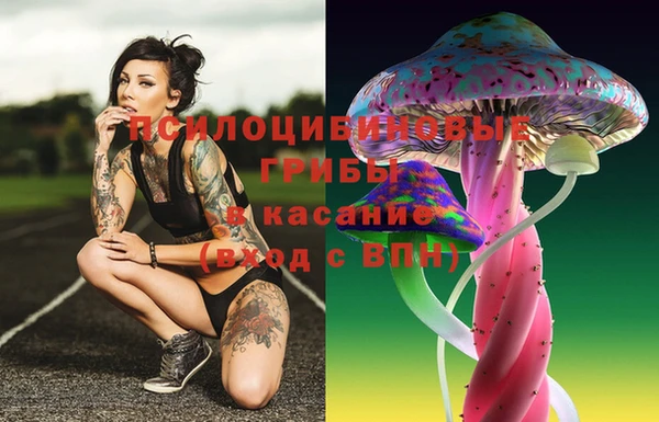прущий лед Лиски