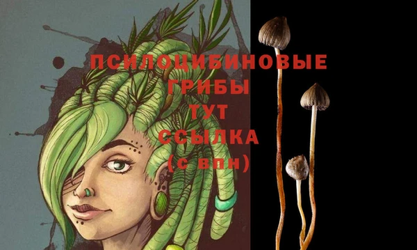 прущий лед Лиски