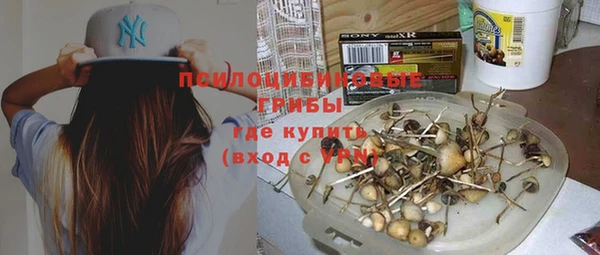 ПСИЛОЦИБИНОВЫЕ ГРИБЫ Бородино