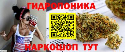 скорость Заводоуковск