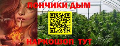 PSILOCYBIN Заволжье