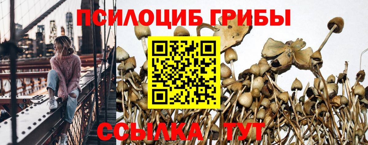 Галлюциногенные грибы GOLDEN TEACHER  Галлюциногенные грибы мицелий  Лянтор  Вход с VPN 